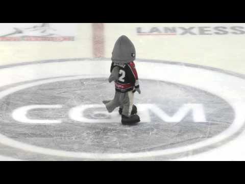 Sharky Dance - I need your love