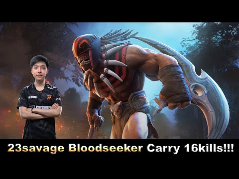 23SAVAGE BLOODSEEKER CARRY 16KILLS!!!
