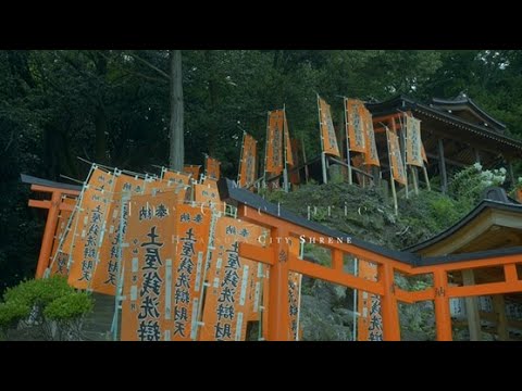 妙圓寺　紹介動画