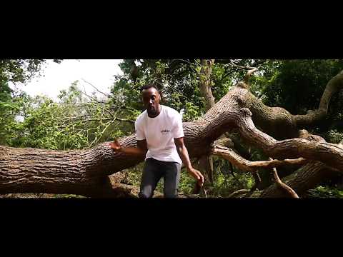 Zimbo - Lion Out the Cage