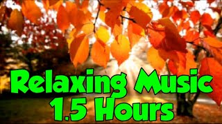 Download lagu Susah Tidur, Coba Dengar ini | Relaxing music 1.5 Hours | Music Penghilang Stress mp3 Download lagu Susah Tidur, Coba Dengar ini | Relaxing music 1.5 Hours | Music Penghilang Stress mp3