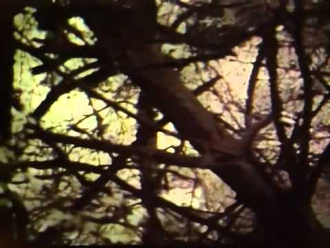 Jason Grove - Northside Beats