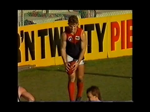 Allen Jakovich - Melbourne - MOTW & GOTW - 1991 Round 20 v North Melbourne - MCG - AFL