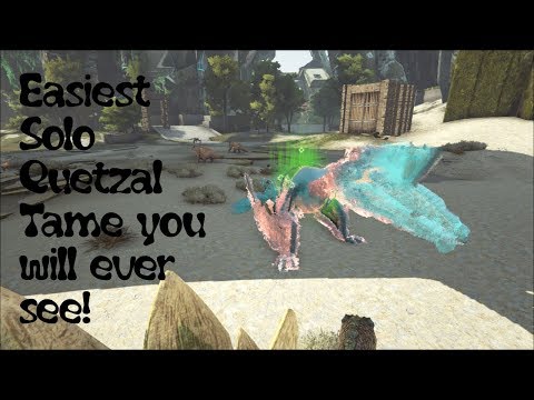 Easiest way to Solo tame a quetzal 2018