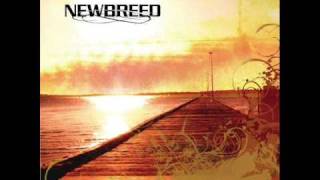 NewBreed - Butterfly Colours