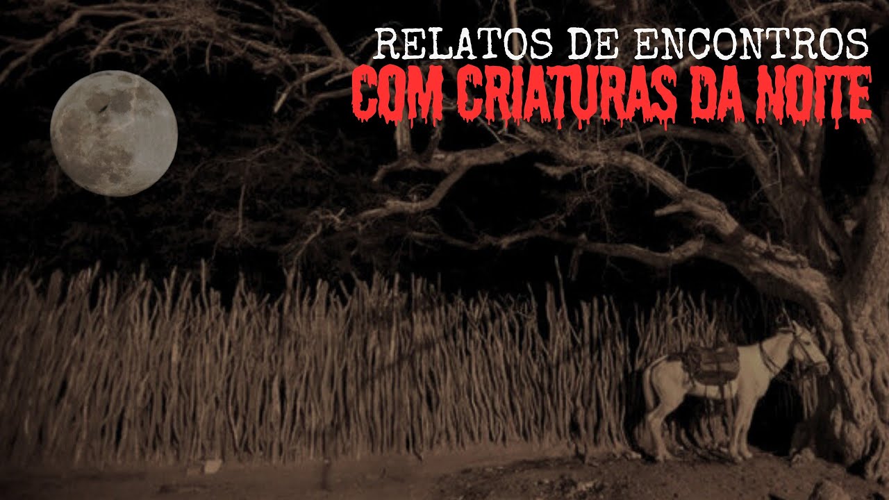 TRÊS RELATOS DE ENCONTROS COM CRIATURAS SOBRENATURAIS.