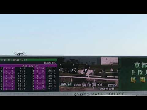 2018 菊花賞 本馬場入場