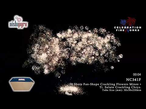 NC341F   Fierce Battlefield