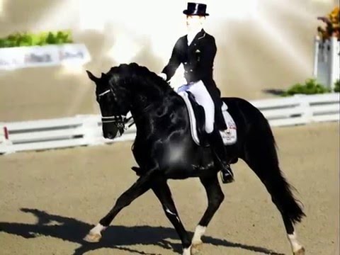 Fade Out Lines - The Avener (Totilas)