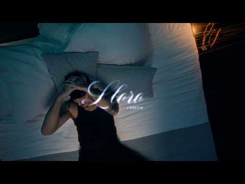 J ABECIA - LLORO (Visualizer) | DESVELOS