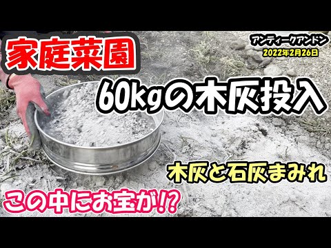 低木の根元に灰を使用する方法 野菜植物 庭の効果