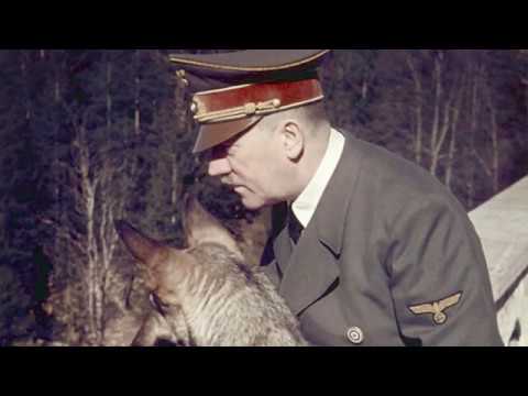 Hitler's Uniform - A Guide to the Fuhrer's Fashions