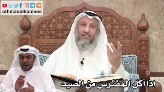 83 - إذا أكل المفترس من الصيد - عثمان الخميس