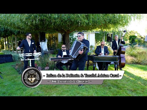 Iulian Costel de la Bolintin & Taraful Adrian Caval - Hore lautaresti ca la Bolintin la Monato