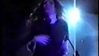 "Weird Al" Yankovic's Fast Food