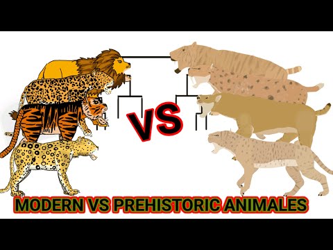 modern big cats vs Prehistoric big cats animation —all animation dc2