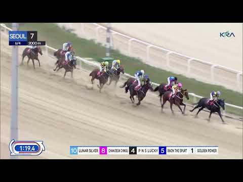 (Seoul) 2022.06.04 R7 Gyeonggi Governor's Cup (2000M KOR-G3) 2022