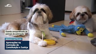 CCJ aprova guarda compartilhada de animais de estimação