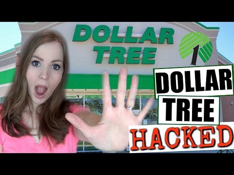 THE DOLLAR TREE HACKED!! | 5 Dollar Tree Hacks You NEED to Know Before Your Next Trip! Video
