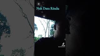 Download lagu Nak Dara Rindu Originally by P.Ramlee #nakdararindu #pramlee mp3