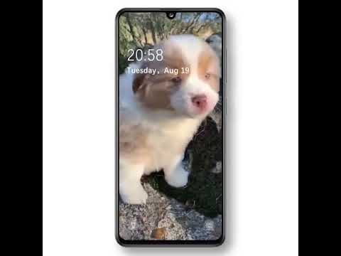 Cute Wallpaper