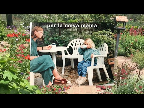 300 Roses - Zoë Z