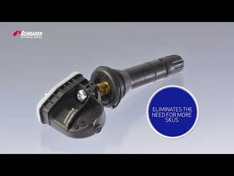 Schrader EZ-sensor Overview
