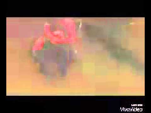 Dank MLG Fights Ep. 1 - Mortal Kombat Edition