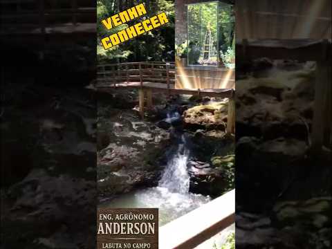 [POUCOS SABEM!! 300m de TRILHA FÁCIL] para este PARAÍSO! 🌿#shorts #brasil