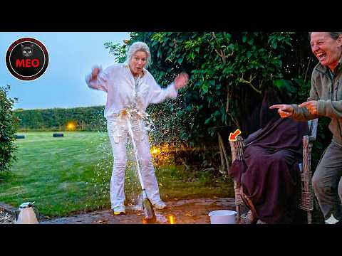 People Failing Hilariously | Moments when Things Went Wrong | BEST OF MONTH (P48)