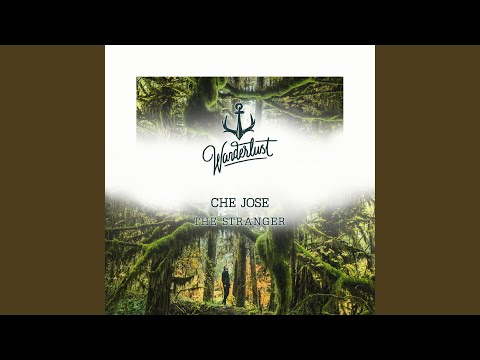 The Stranger (Extended Mix)