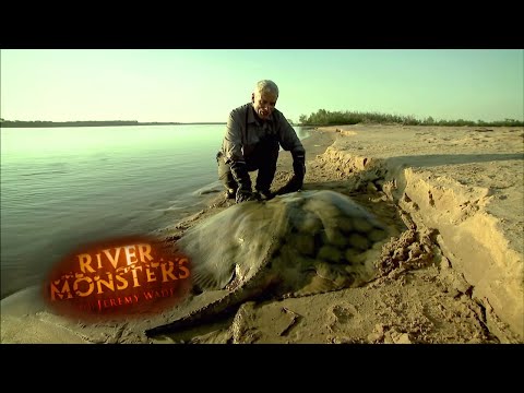 Jeremy Catches Stingray After 2 Hour Battle! | STINGRAY | River Monsters