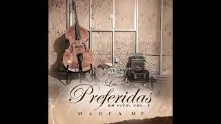 Me Gustas Mucho (En vivo) Lyrics English Translation