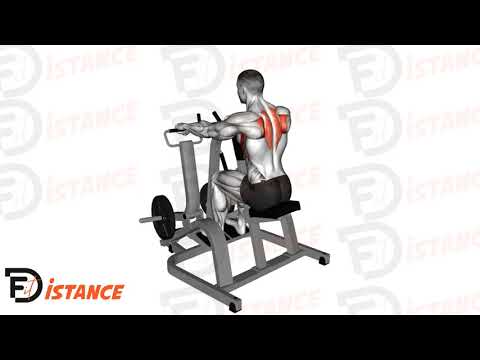 Exercice Rowing scapulaire prise pronation