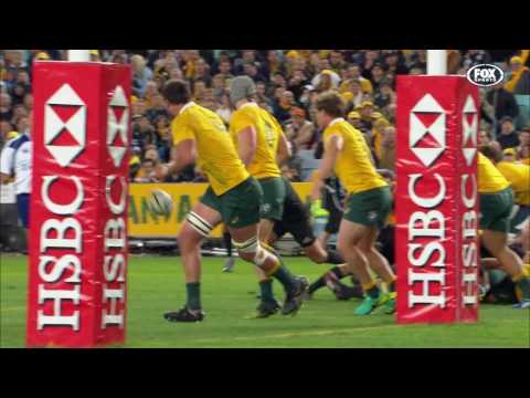 Rugby Championship 2016 Rd 1: Australia v New Zealand
