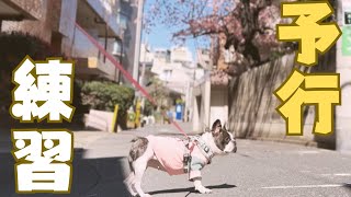 新潟行く前に練習