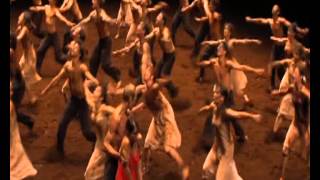 Caribou - Leave House ( PINA )