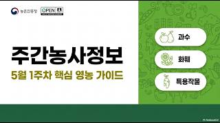 [5월 1주, 농사정보] 과수(사과, 배, 복숭아) / 화훼(카네이션)  / 특용작물(인삼, 오미자, 지황)