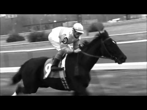 Ruffian the first race (music video)