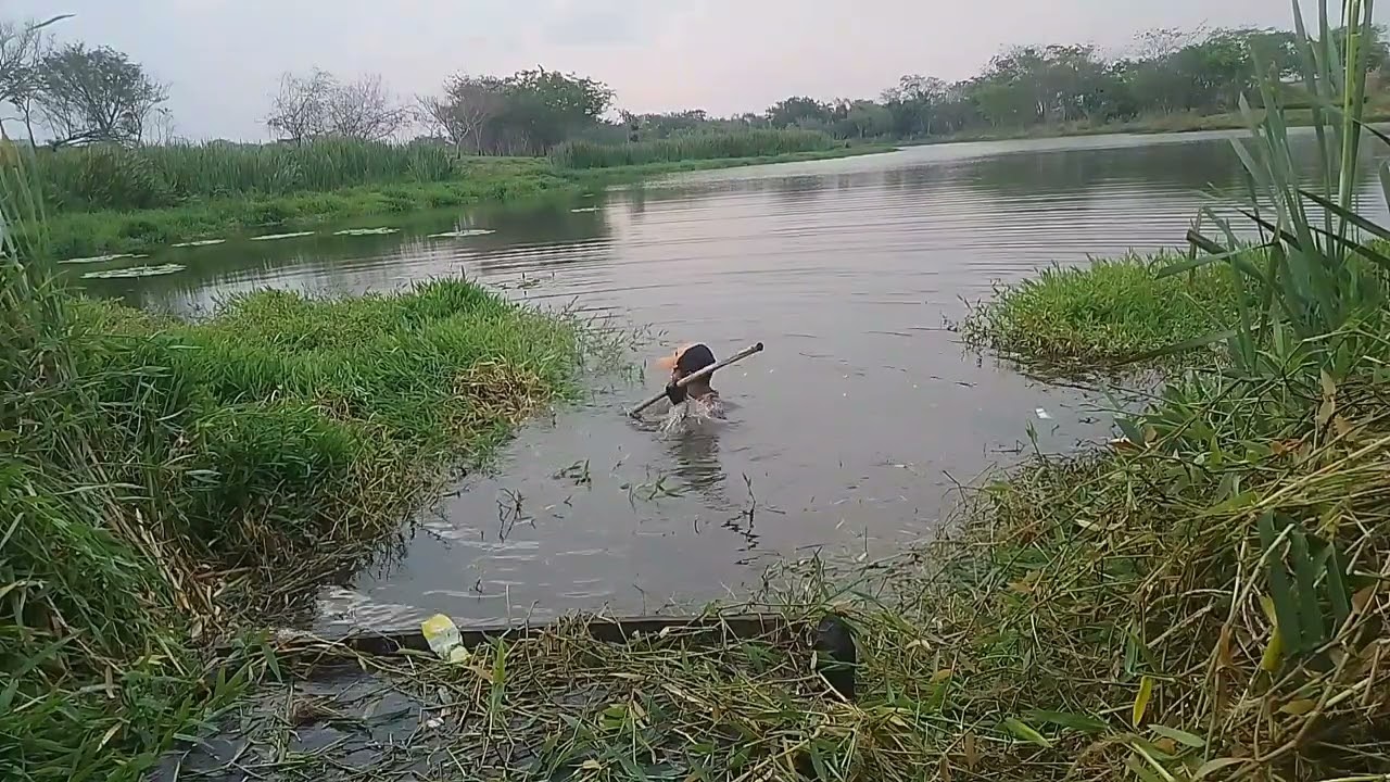 Fiz a limpeza da nova ceva | Você teria coragem de fazer isso para pescar tilápias?