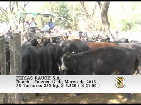 17-03-16 Ventas de Hembras - Ferias Rauch S.A. - Rauch.