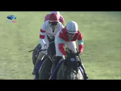 2022.10.02 Sprinters Stakes (JPN) - Gendarme