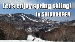 春スキーだって楽しい志賀高原・焼額山！2024.4/13