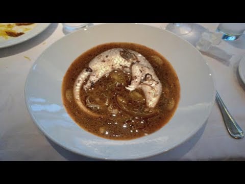 download lagu mp3 mp4 Exotic Foods List, download lagu Exotic Foods List gratis, unduh video klip Exotic Foods List