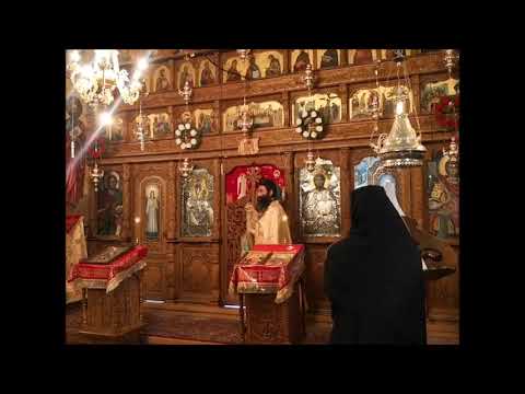 20190203 NICOLAE BALASOIU – DUMINICA LUI ZAHEU