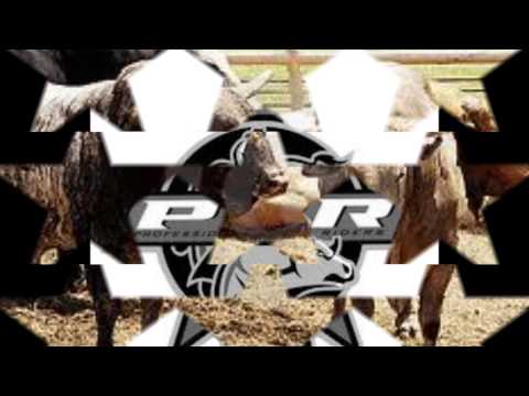 comitiva arrancabaço