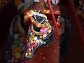 Mai To Shiv Ki Pujaran Banungi Viralshort Hindumantra Youtubeshorts