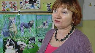 В Харькове стартовала благотворительная акция «Доброта объединяет сердца»
