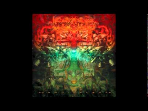 ANOMALOUS - The Seraphim Veil (OHMnivalent 2011) online metal music video by ANOMALOUS