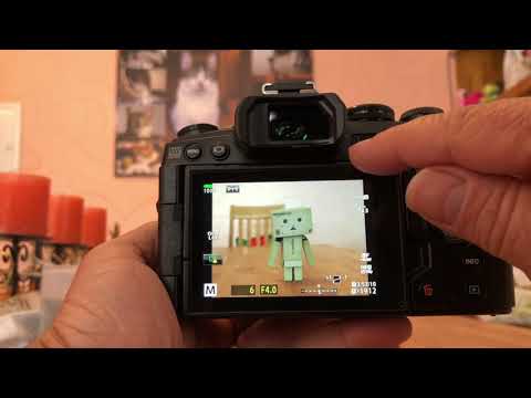 Olympus OM-D EM1 III vernünftig einrichten und personalisieren. Meine Einstellungen für Hundeaction.